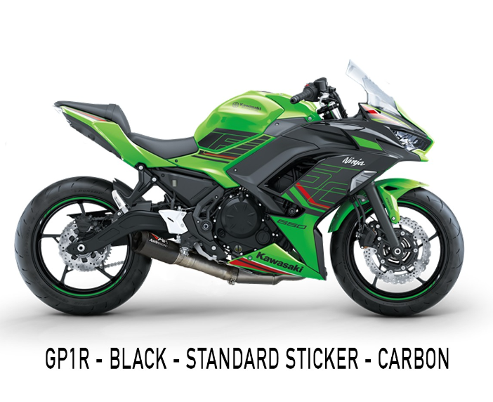 AUSTIN RACING GP1R/GP2R/V3 DE-CAT RACE EXHAUST KAWASAKI NINJA 650/Z650